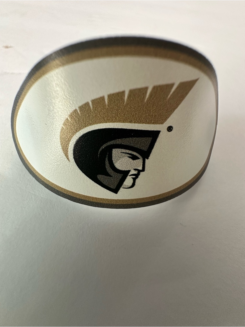 1 Anderson University TROJAN South Carolina COLLEGE KANE collegiate Logo RARE
